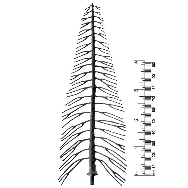 6&quot; PINE TREE