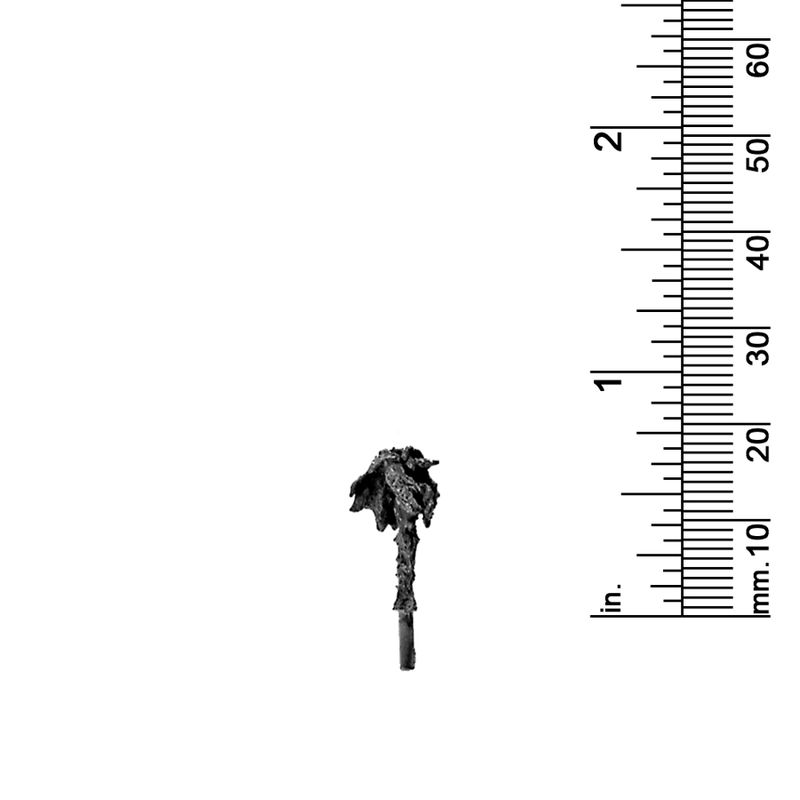3/4&quot; PALM TREE