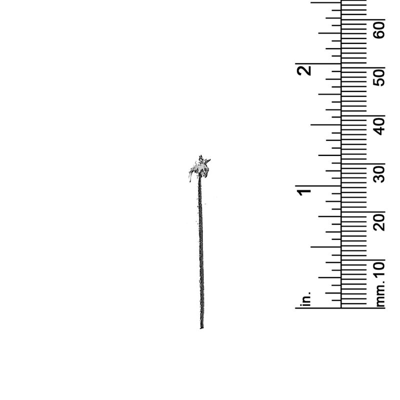 1-1/4&quot; PALM TREE