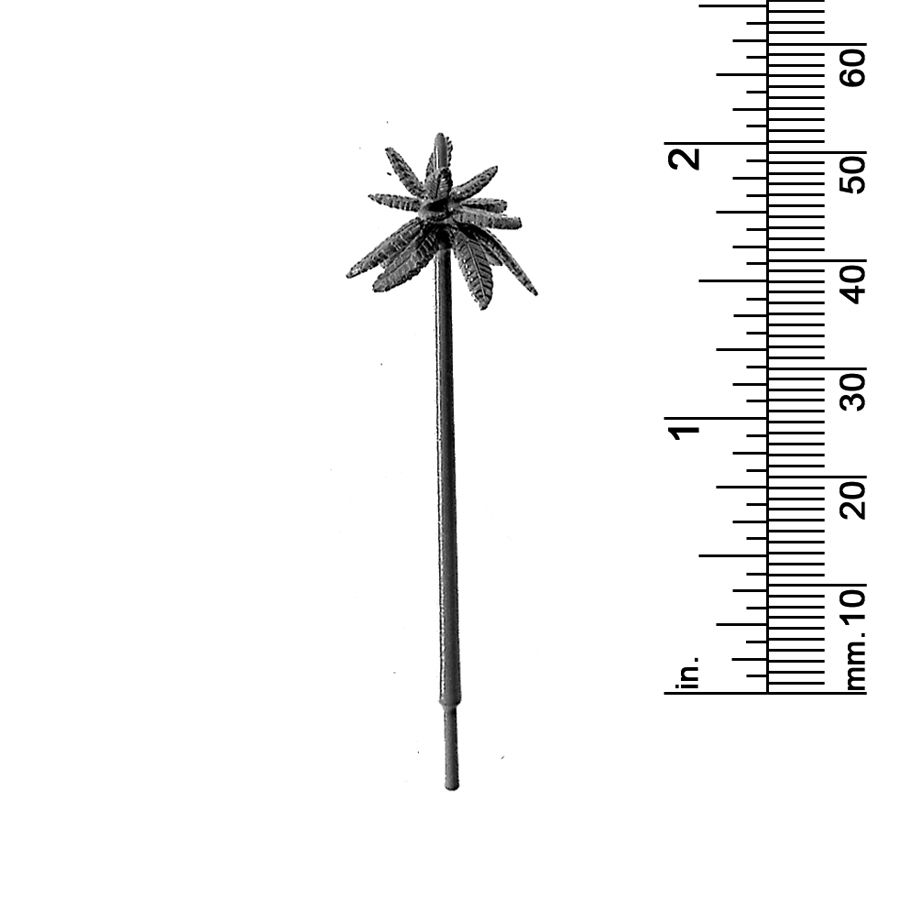 2&quot; PALM TREE