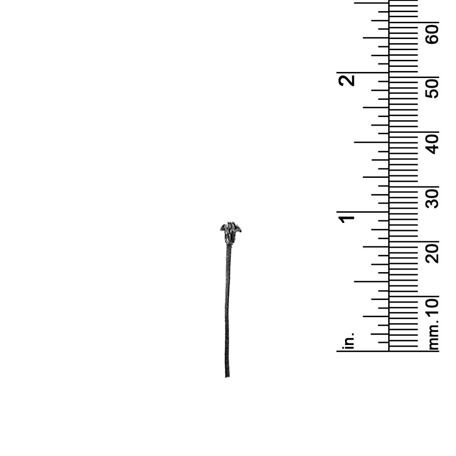 7/8&quot; PALM TREE