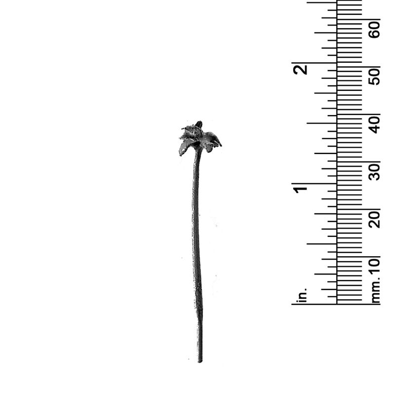 1-1/2&quot; PALM TREE
