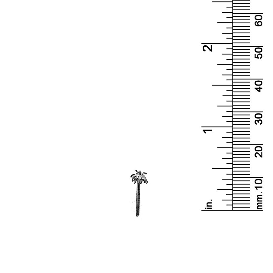 1/2&quot; PALM TREE
