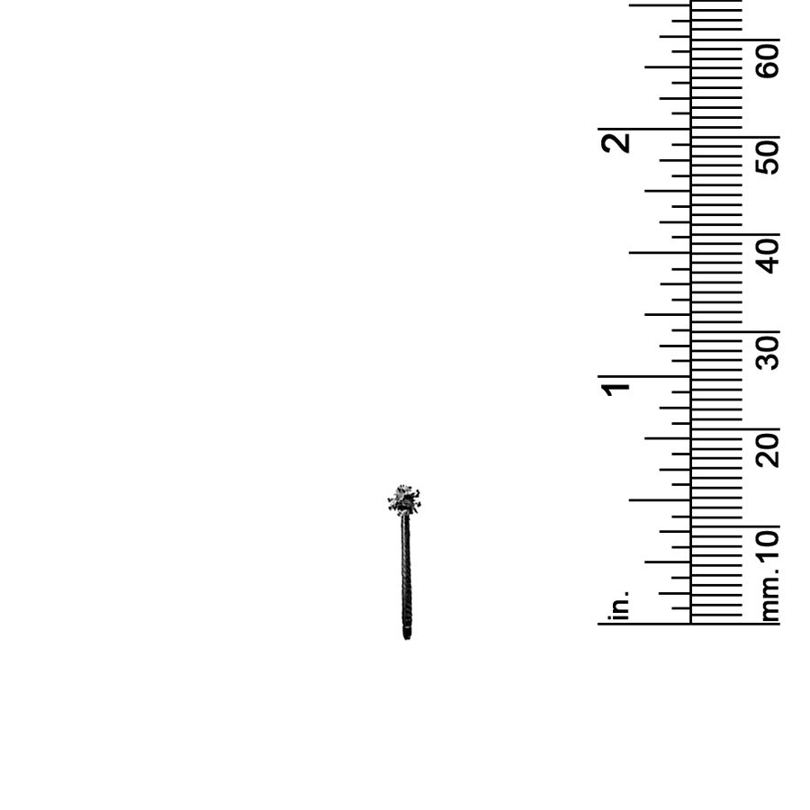 9/16&quot; PALM TREE