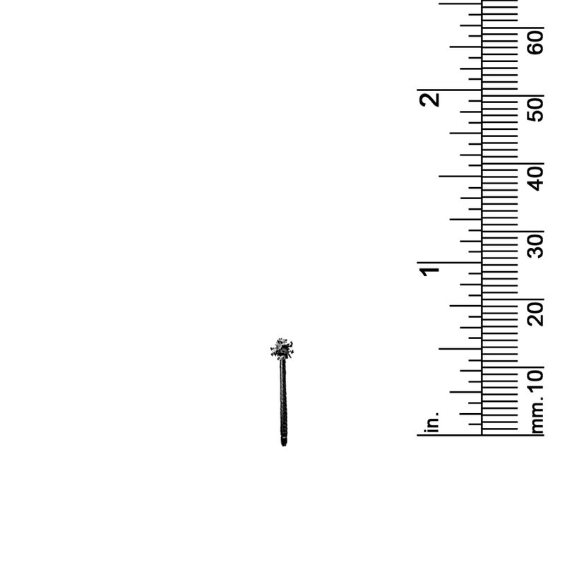 9/16&quot; PALM TREE