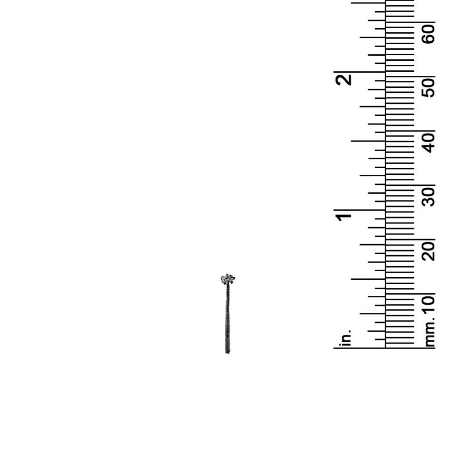 9/16&quot; PALM TREE