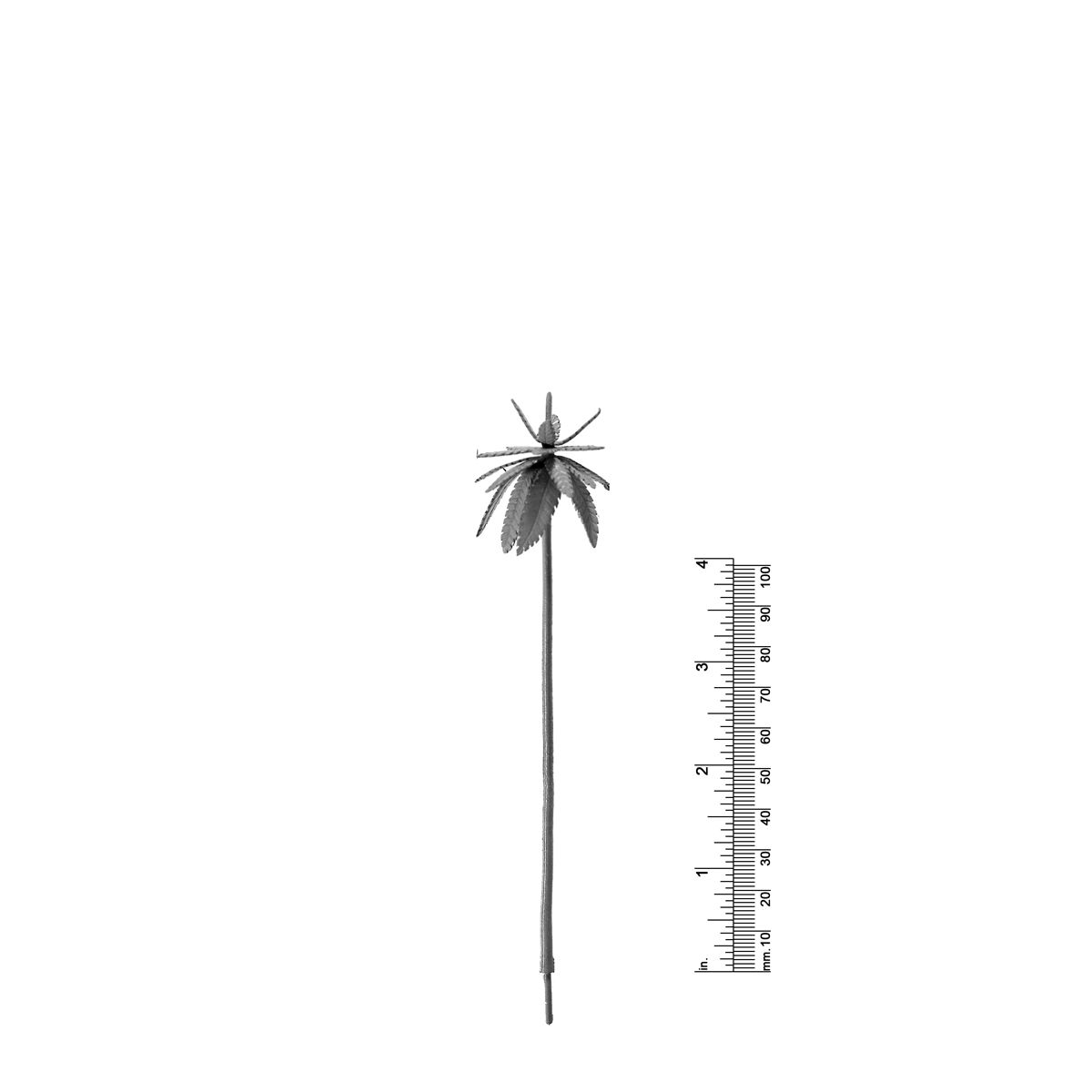5-1/2&quot; PALM TREE