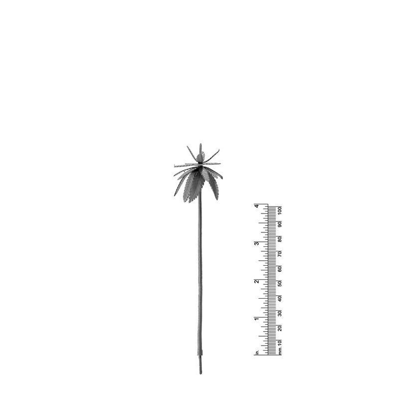 5-1/2&quot; PALM TREE