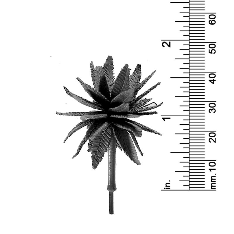 1-3/4&quot; DATE PALM TREE