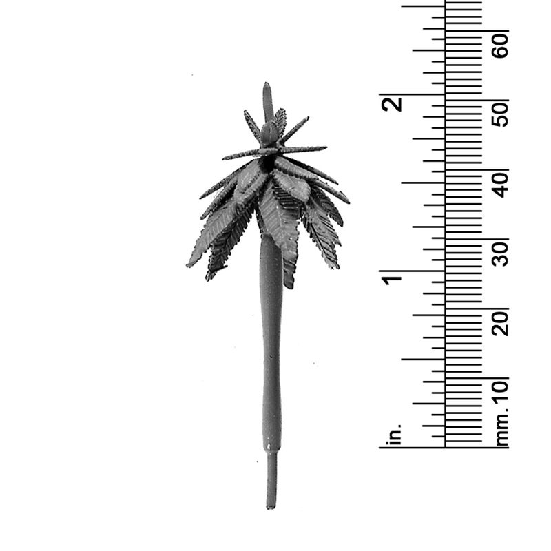2&quot; ROYAL PALM TREE
