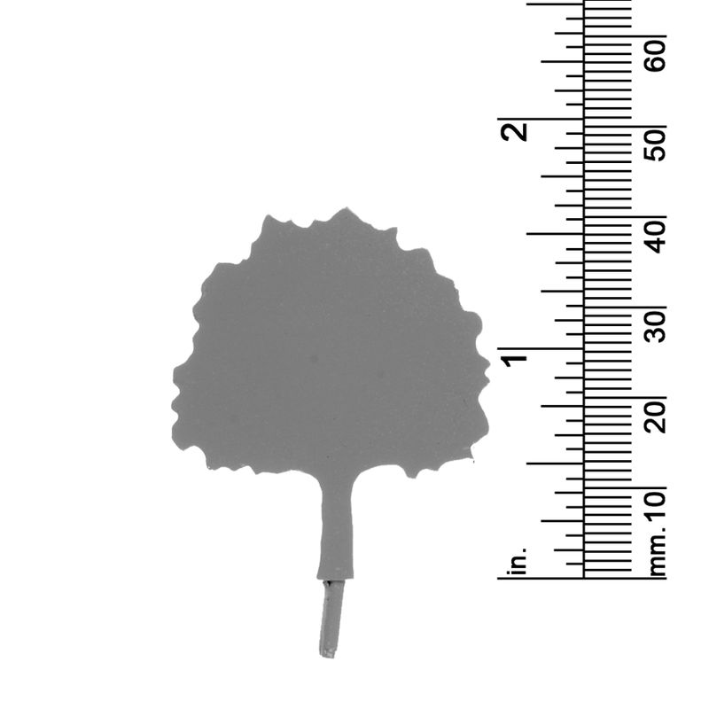 1-5/8&quot; Deciduous Tree 2 Dimensional