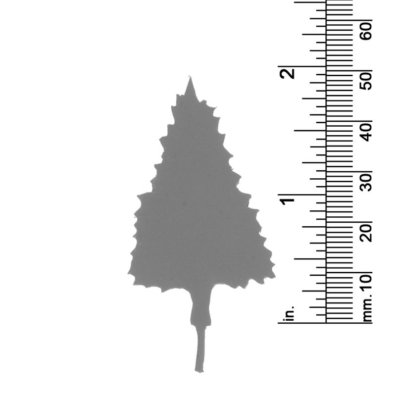 2&quot; Pine Tree 2 Dimensional