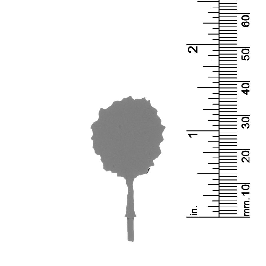 1-3/8&quot; Deciduous Tree 2 Dimensional