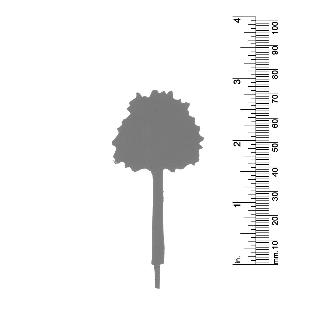 2-7/8&quot; Deciduous Tree 2 Dimensional