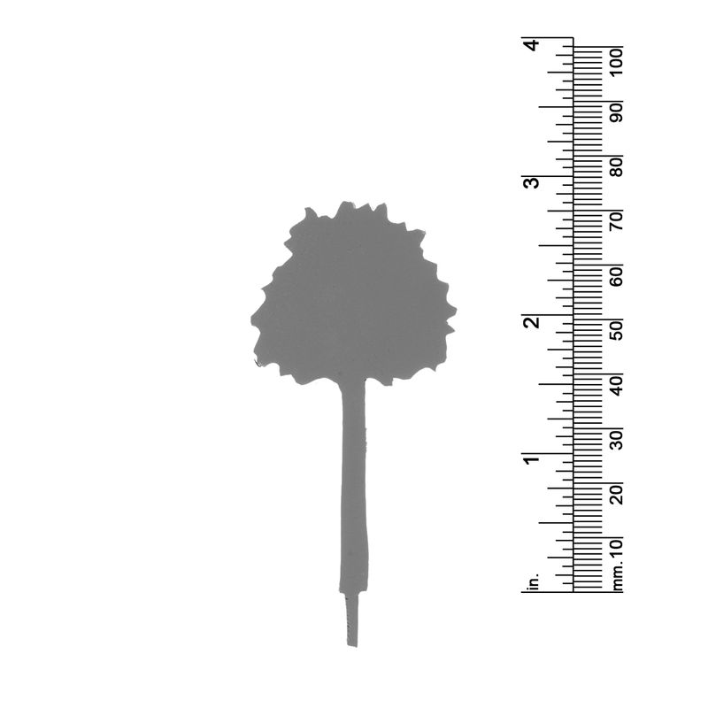 2-7/8&quot; Deciduous Tree 2 Dimensional