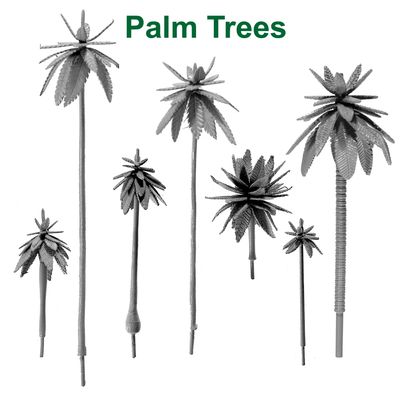 Palm Trees