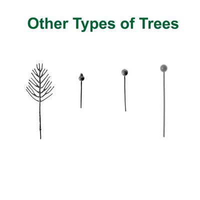 Other Types of Trees