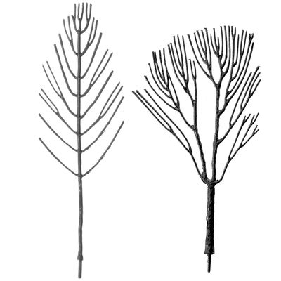5 Inch and Larger Deciduous Trees