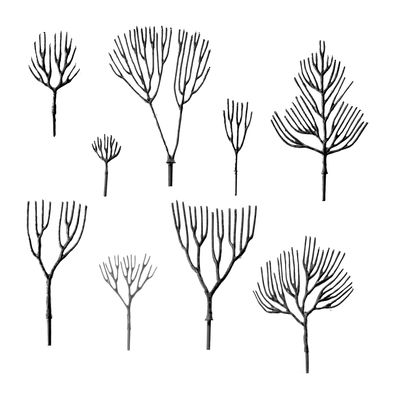 0 -2.5 Inch Deciduous Trees