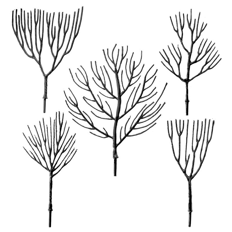 2.5 - 5 Inch Deciduous Trees