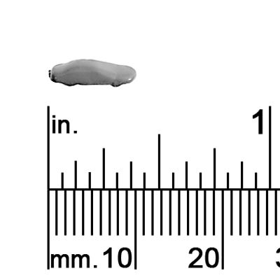 1/40&quot; Scale Midsize Car