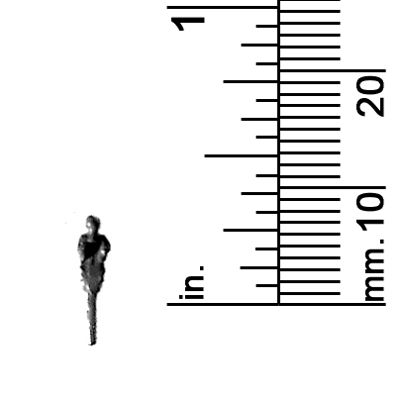 1/20&quot; SCALE FEMALE, STANDING
