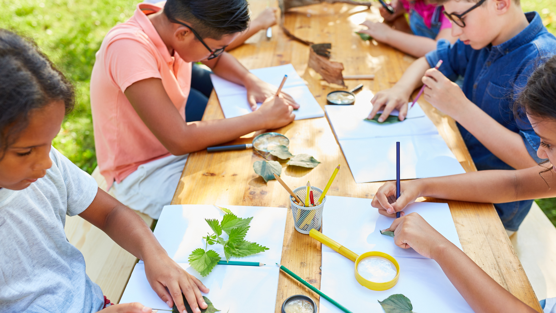 STEM Explorers: Fall Into STEM (October 26)
