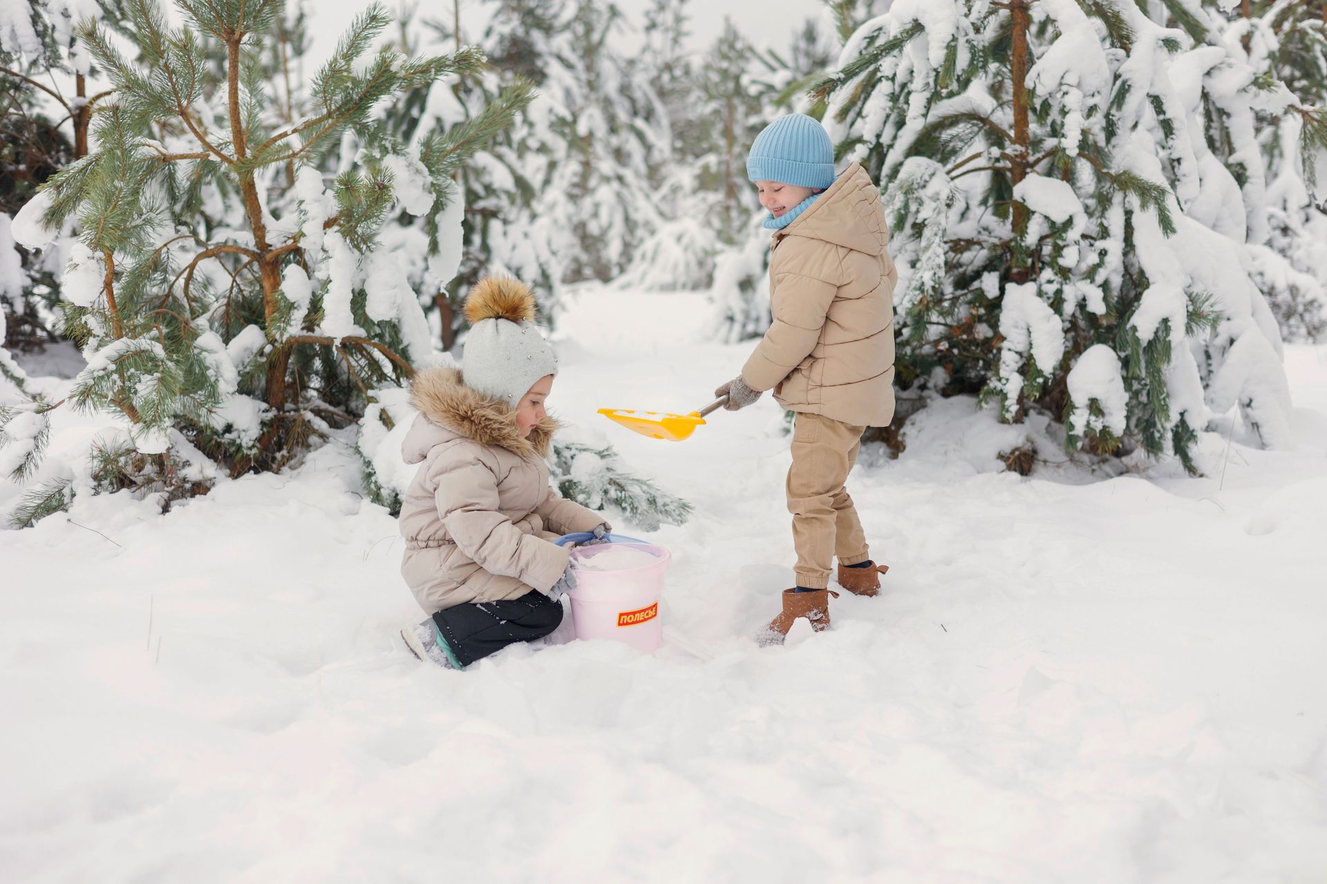 Fall into Winter (November 27)