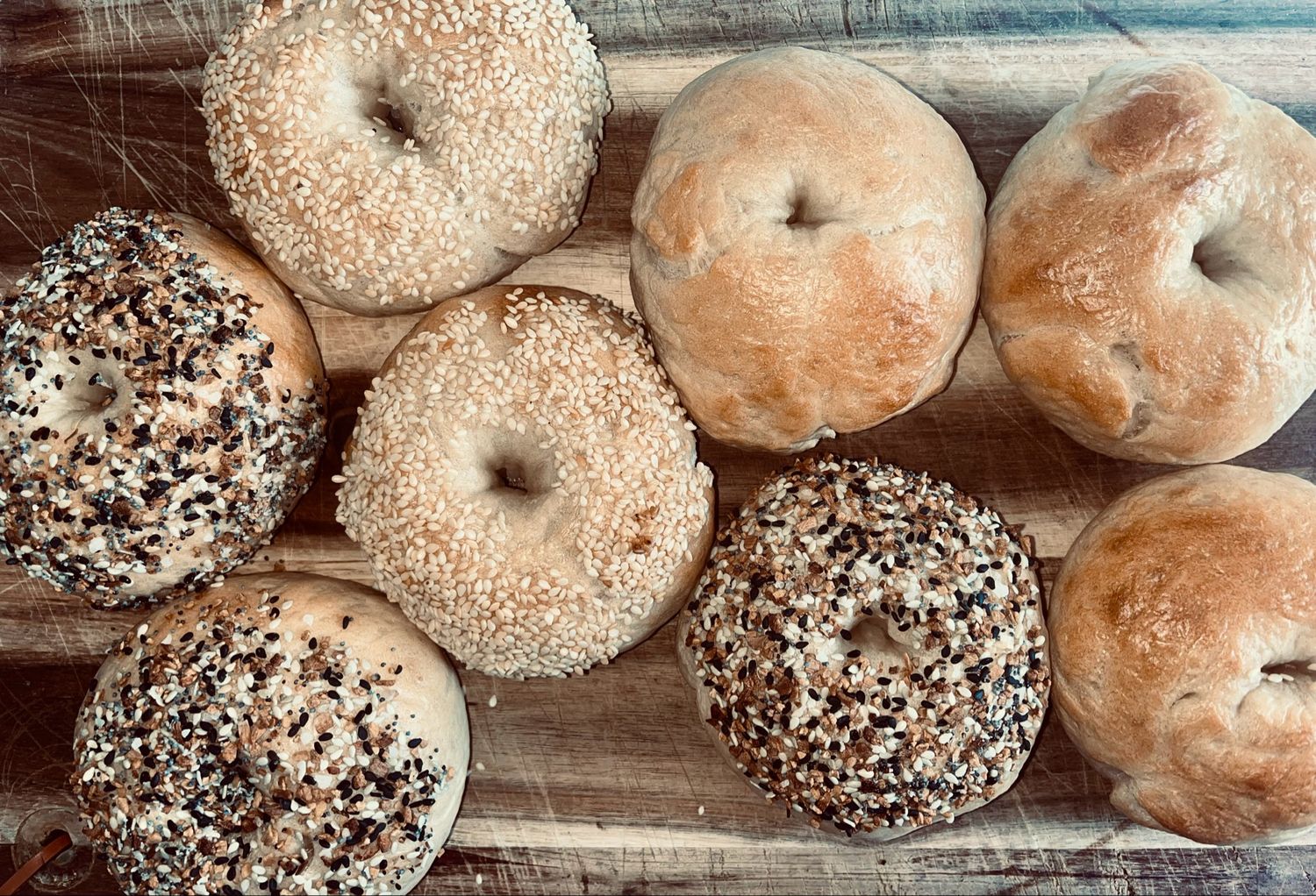 Sourdough Bagels Ct. 8 (Plain, Sesame, Poppy, Everything)