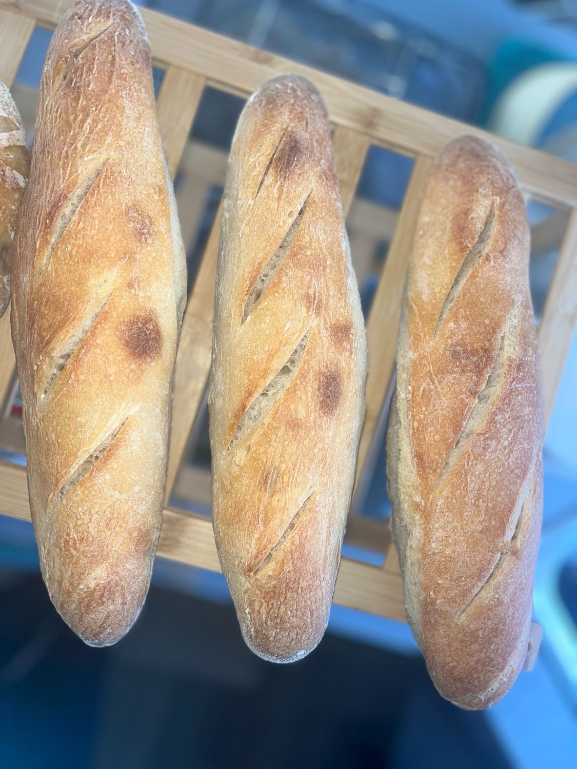 Sourdough baguettes