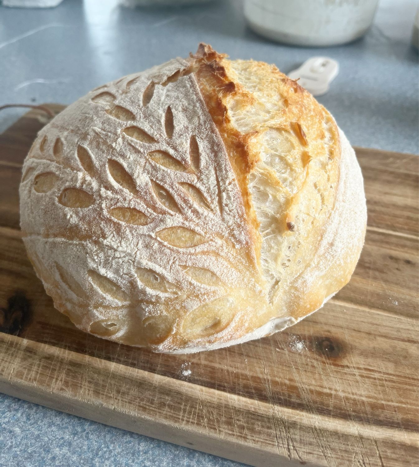 Plain Sourdough