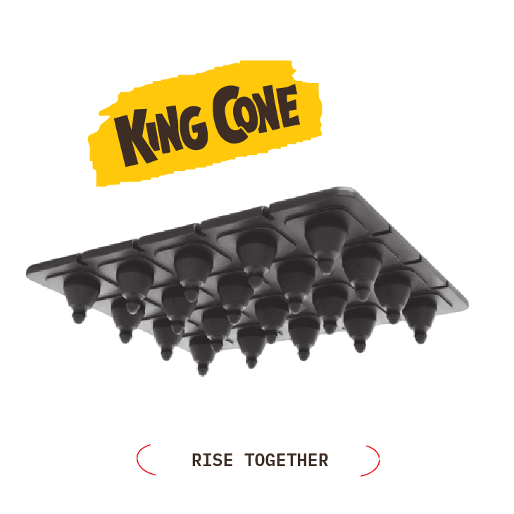 KING CONE