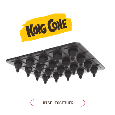 KING CONE KING CONE