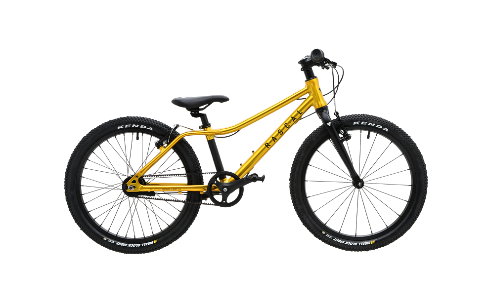 Rowerek RASCAL 20&quot; 3biegi Sturmey Archer