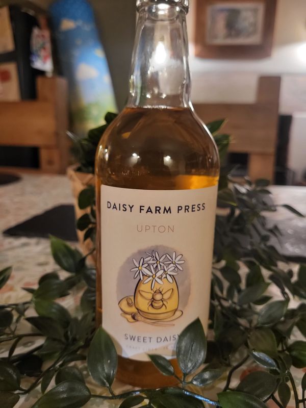 Sweet Daisy Cider - 500ml (6% ABV)