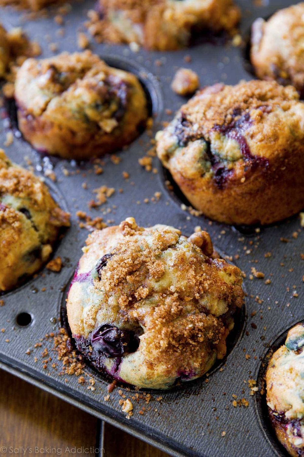 Blueberry Protein Muffin
