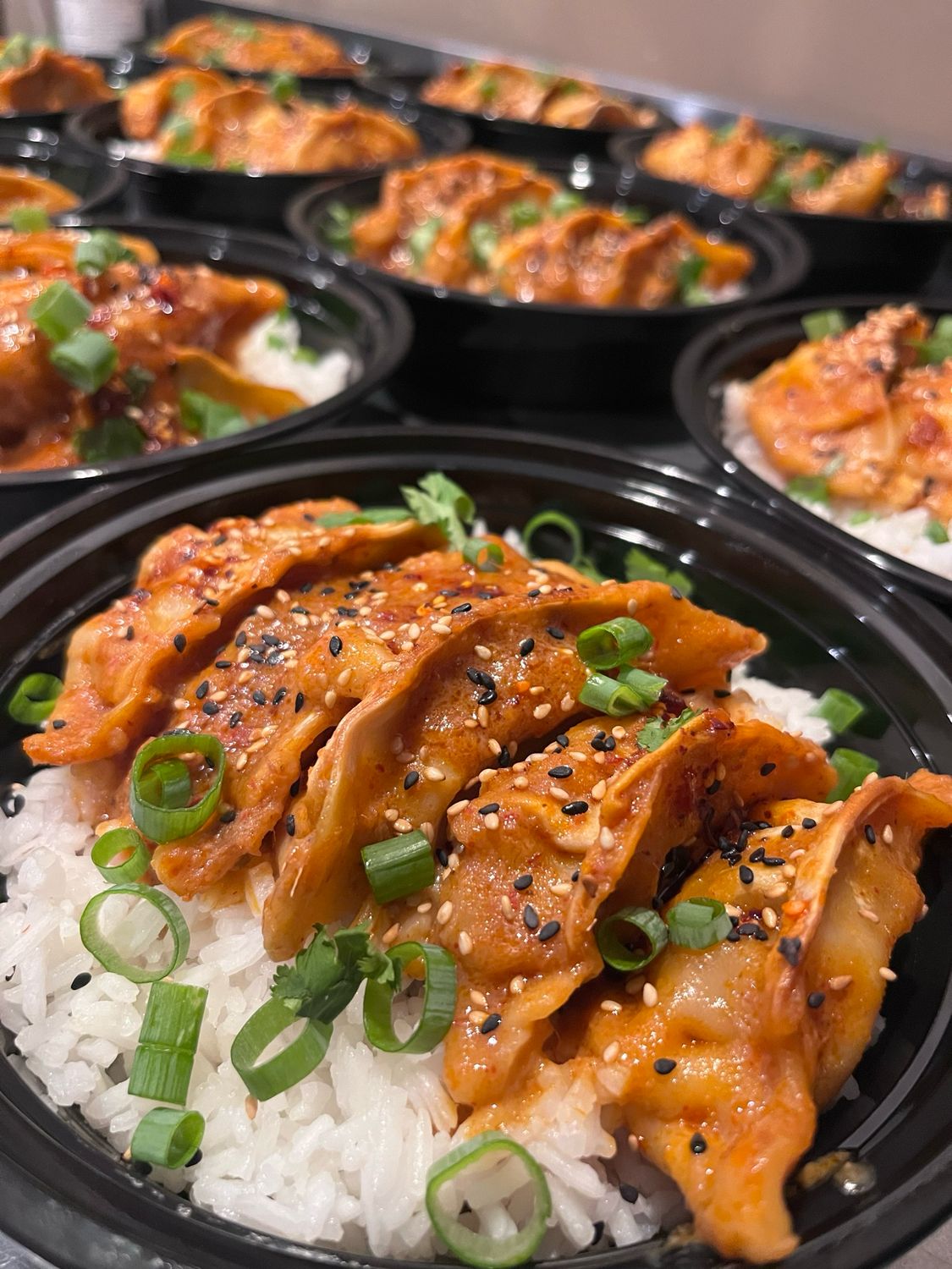 Baked Chicken  Dumplings