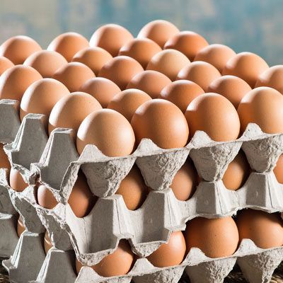 LARGE 30 EGGS