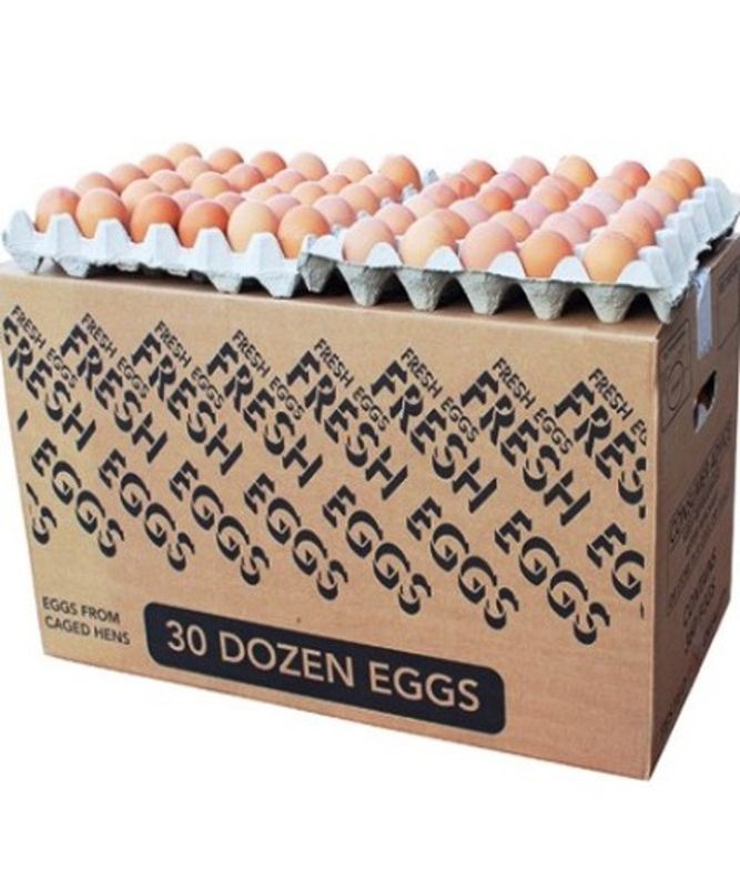 MEDIUM 360 EGGS