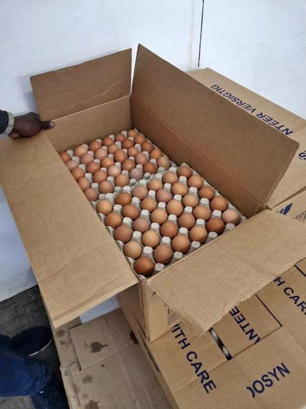 LARGE 360 EGGS