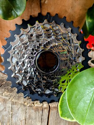 Cassettes &amp; roues libres