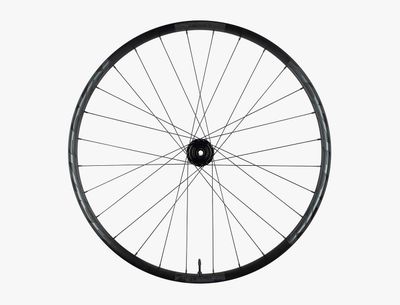 Roue RaceFace AEFFECT R 30 15x110 29