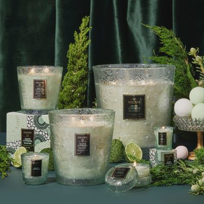 White Cypress
