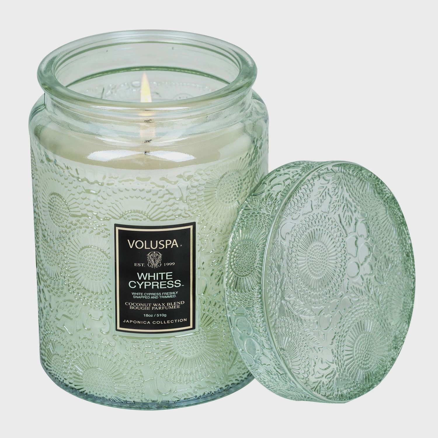 White Cypress, Size: Large Jar