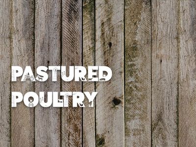 Pastured Poultry