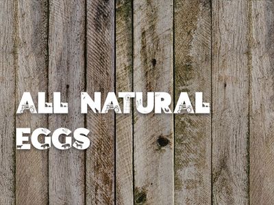 All Natural Eggs