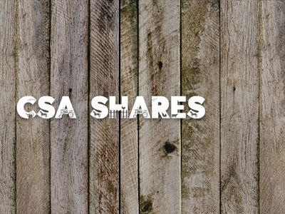 CSA Shares