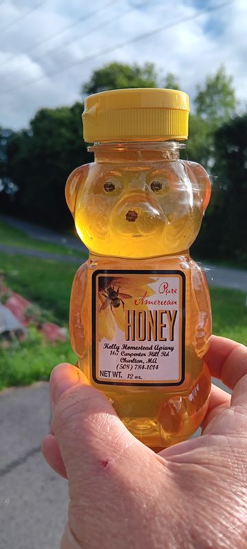 Honey Bear 12 oz. squeeze bottle Honey Bear 12 oz. squeeze bottle