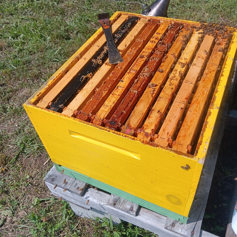 10-Frame NUCs | Deposit Only 10-Frame NUCs | Deposit Only