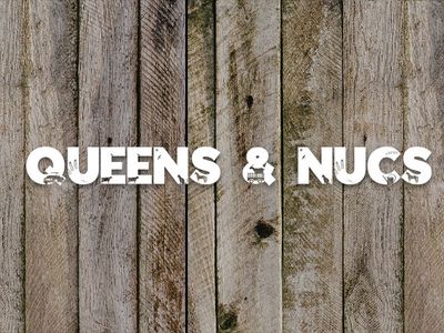 Queen & Nucs